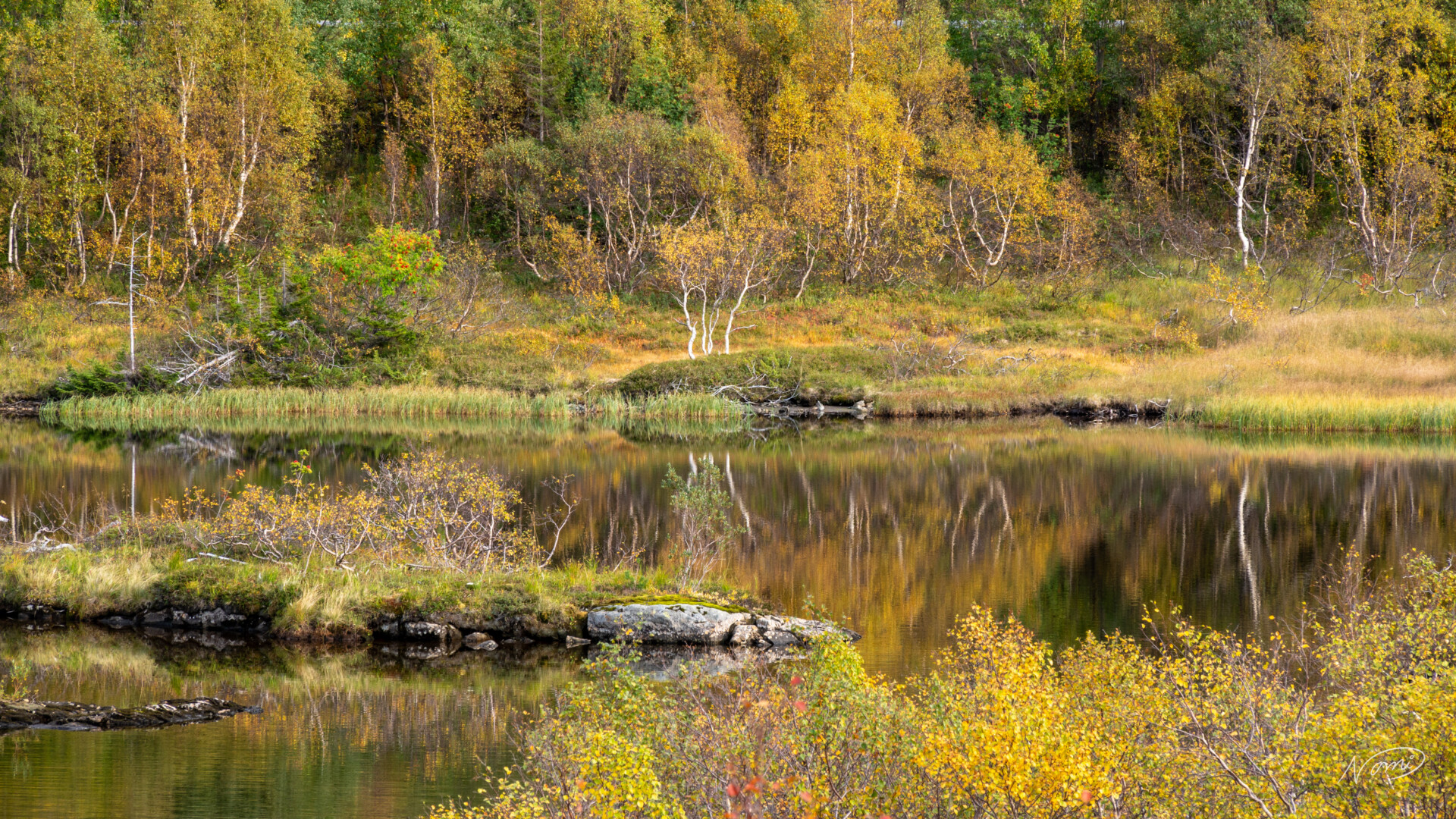 Høsttur på Tosfjellet